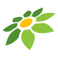 LINK BINGOSLOT